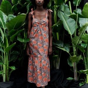 NWT Zara Floral Dress